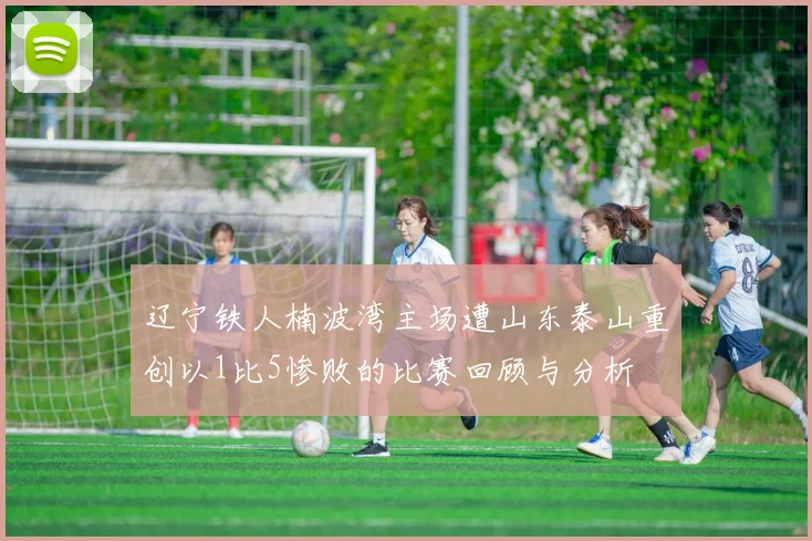 辽宁铁人楠波湾主场遭山东泰山重创以1比5惨败的比赛回顾与分析
